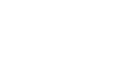 ally do it right logo