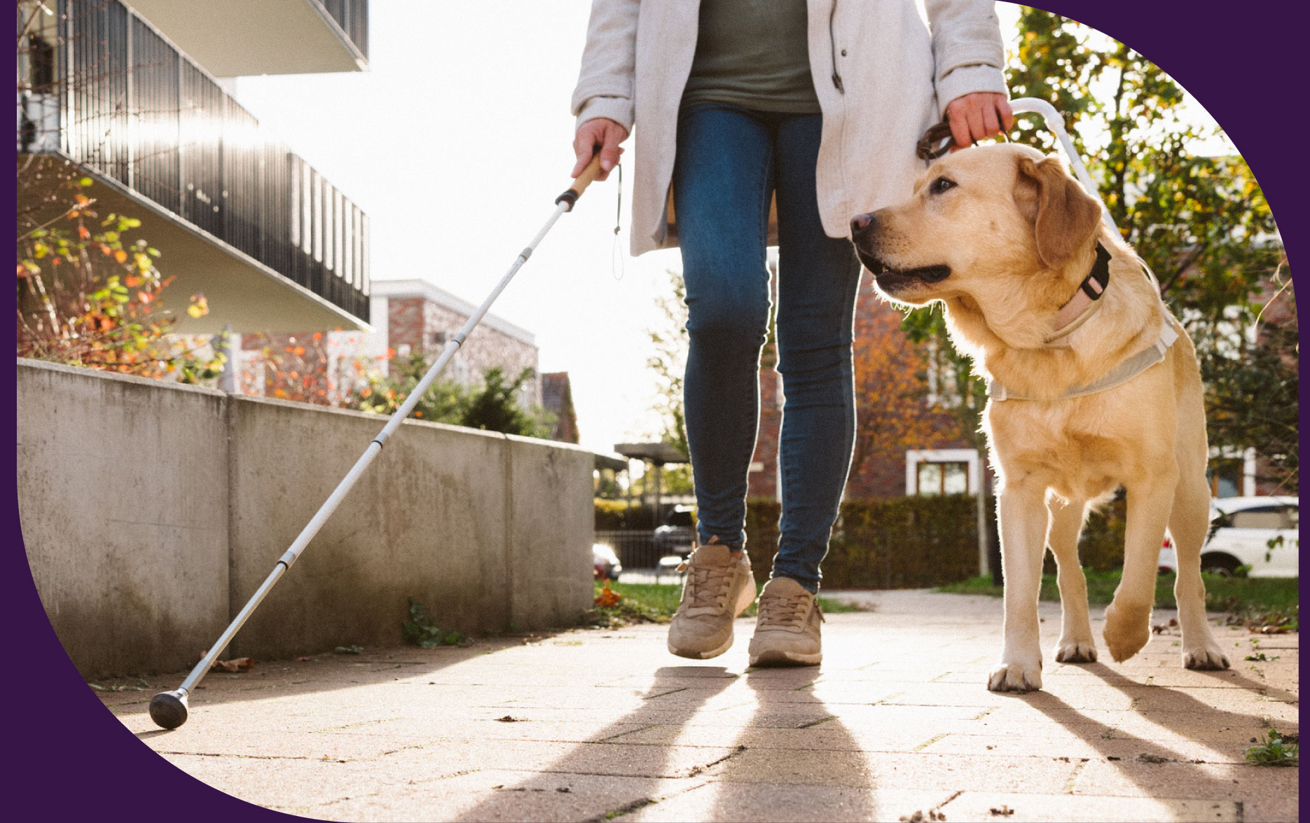 Person walking down a sidewalk on a sunny day, with a white cane in their right hand and a leash in the left, as an adorable labrador retriever walks beside them.