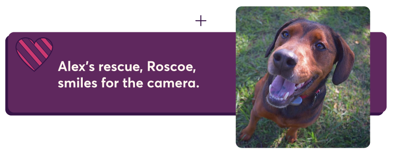 Alex's rescue, Roscoe, smiles for the camera.