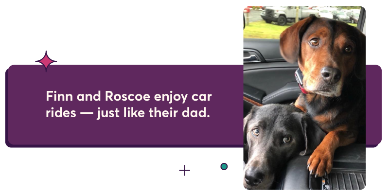 Finn and Roscoe enjoy car rides - just like their dad.