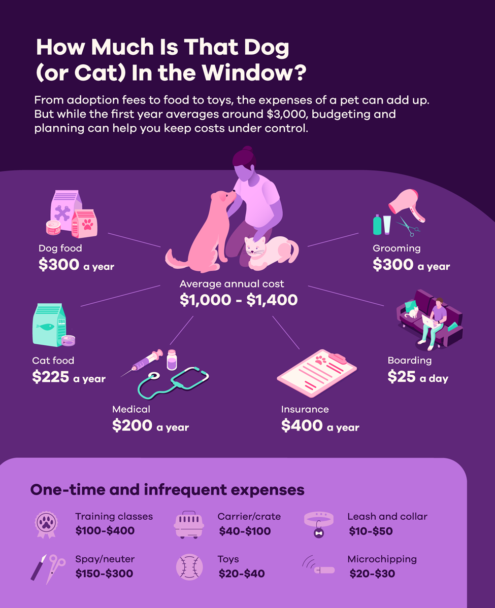 Infographic of average annual pet costs highlighted in the article