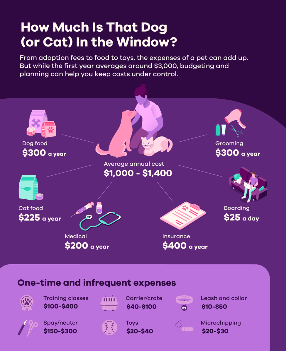 Understanding the Costs of Owning a Pet Ally