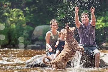 young couple playing in river with a child and dog