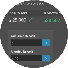 A target goal and investment projection are displayed on the Ally website.