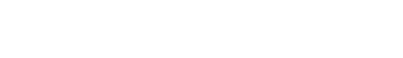 Ally and NWSL sweepstakes logo with the silhouette of a woman kicking a soccer ball